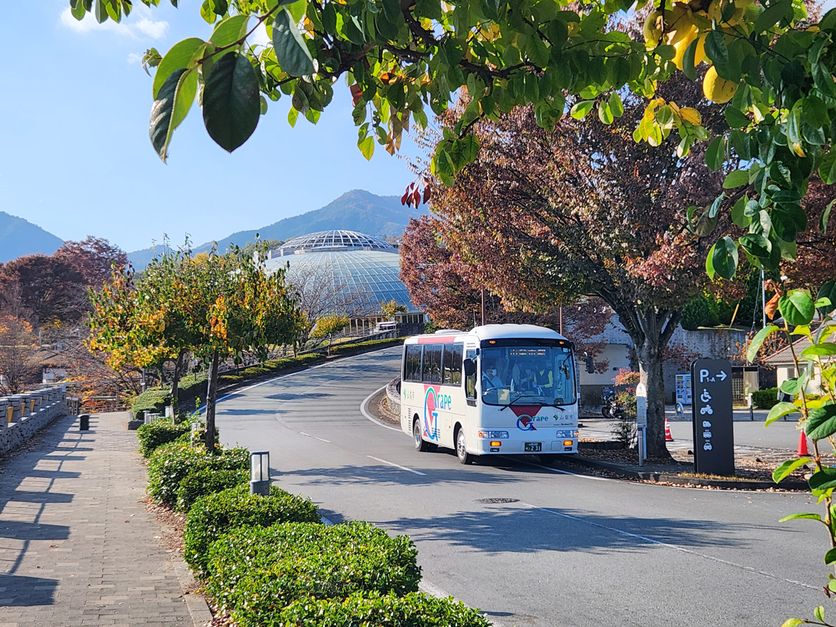 笛吹川フルーツ公園